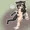 ゆきちゃ