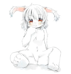 アンゴラペドケモ