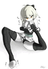 そうじのあんよそうじ