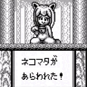もんむすさぷらいずどゆう