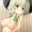 こいしっぱい