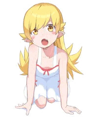 忍野忍おくち