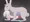 うさぎ姫始めアニメ