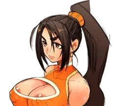 嫁顔研究