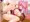 おねだりポーズシグナム姐さん