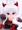 グリムアロエ