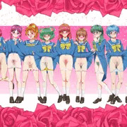ときめきメモリアルヘアヌードコレクション