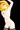 アリス