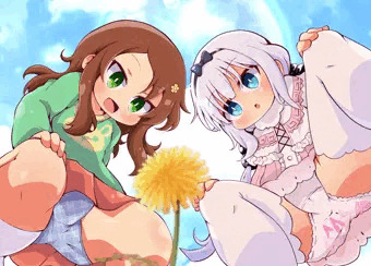 黄色いお花
