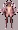 Ｙ豚ちゃんヌード