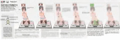 角度可變木馬實驗平台