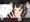 でちゃった