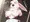 放熱うさメイドさん