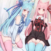 ねこのは