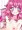みらいちゃん