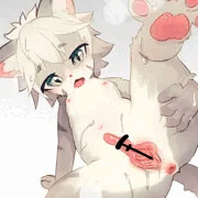 夢で見た