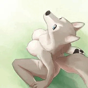 座りいぬ