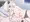 あかりちゃん
