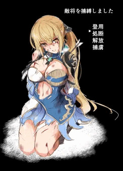 6版王元姫