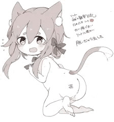 ソルトの観察日記