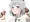 さーにゃん