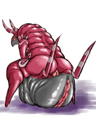 ポケモンまとめ２