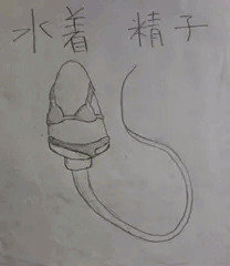 水着精子