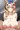 ぽるずりとFANZAセール中