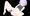 Live2D挑戦