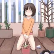 有機栽培