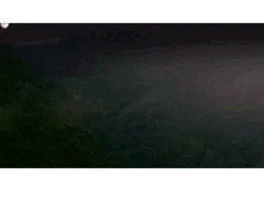 触手姦淫part1