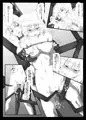 白狼捕縛