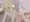 リンちゃんレイプ