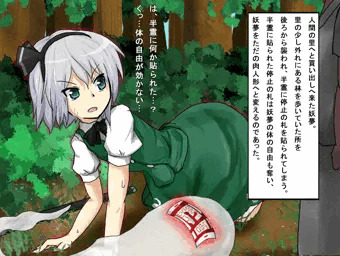 停止姦　妖夢　停止の札を貼られて