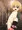 メリー踏みすます