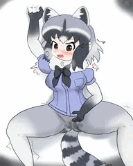 アライさん