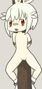 ヒバニー捕まえた