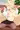 イナホ