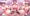 宇崎一家で遊びたい！【NTRビデオレター】（母姉妹鬼畜放尿調教）