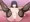 おまけクエストのエロ絵