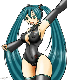 フロントジッパー競泳水着ミク
