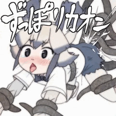ずっぽリカオン