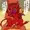 悪魔