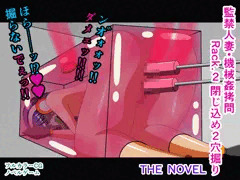 監禁人妻・機械姦拷問 Rack.2 閉じ込め２穴掘り THE NOVEL