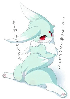 うちの子バックショット