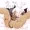 たねつけシズちゃん