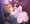 アン　アンアン