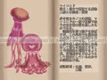 魔物娘繁殖記