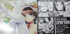 「夢幻転生４月号」の『次号予告』
