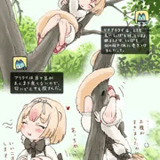 ヒメアリクイ